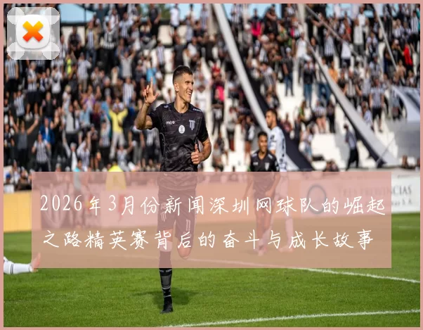 2026年3月份新闻深圳网球队的崛起之路精英赛背后的奋斗与成长故事